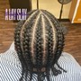 Large (2-5) Feed in Braids