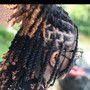 Starter Locs