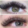 Eyelash Extension Volume Full Set