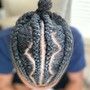 Feed-in Braids