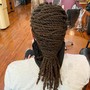 Starter locs