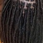 Butterfly over Locs