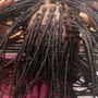 Box Braids