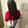 Kid's Braided Ponytail