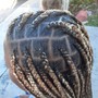 Tribal braids (2layers) w/box braids in the back