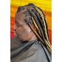 Women's natural twists/plaits