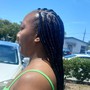 Tribal braids (2layers) w/box braids in the back