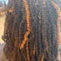 Sister Locs Human Hair