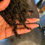 Natural Coils