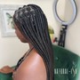 Medium Mermaid Goddess Knotless Braids