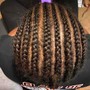 Fulani Braids MidBack