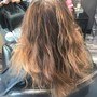 Root Touch Up