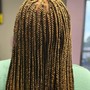 Medium Box Braids (not knottless)