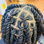 Loc Coils starter Locs