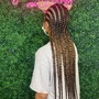 Natural Hair Braid Down