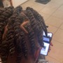 Two strand  Twist in natural hair