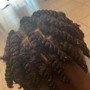 Two strand  Twist in natural hair