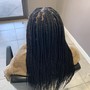 Regular size Senegalese Twist waist length