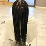 Medium Knotless braids middle back