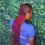 Adult Braided Ponytail