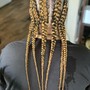 Butterfly  locs $285+