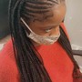 Feed in ponytail medium braids