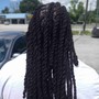 Box Braids/Rope twist