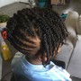 Havana Twists / passion twist