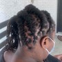 Starter Locs