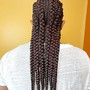 4+ Feed in Braids