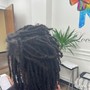 Large Starter LOC