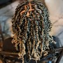 Butterfly  locs $285+