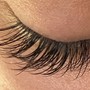 Volume Eyelash Fill