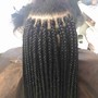 Micro Box Braids