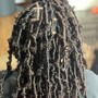 Starter locs