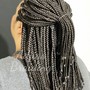 Havana twists