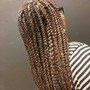 Poetic Justice Braids