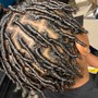 Starter Locs