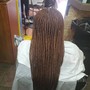 Nubian Twists