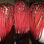 Med Boho Knotless Braids