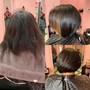 Women's Cut