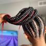 Individual Braids/ Individual 2 StrandTwists