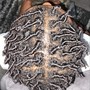 Starter Locs