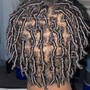 Starter Locs