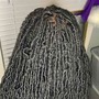 Box Braids on locs