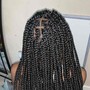 Box Braids on locs