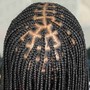 Tree Braids