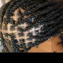 Feed in Braids 2-4