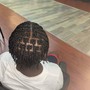 Two Strand Twists