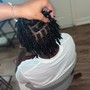 Wash, Loc Re-twist& style